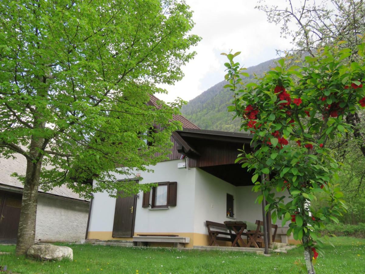 Pocitniska Hiska Jager Cezsoca Villa Dış mekan fotoğraf